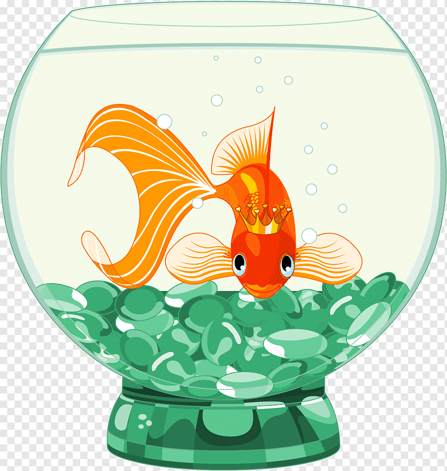 Круглый аквариум с золотой рыбкой вектор