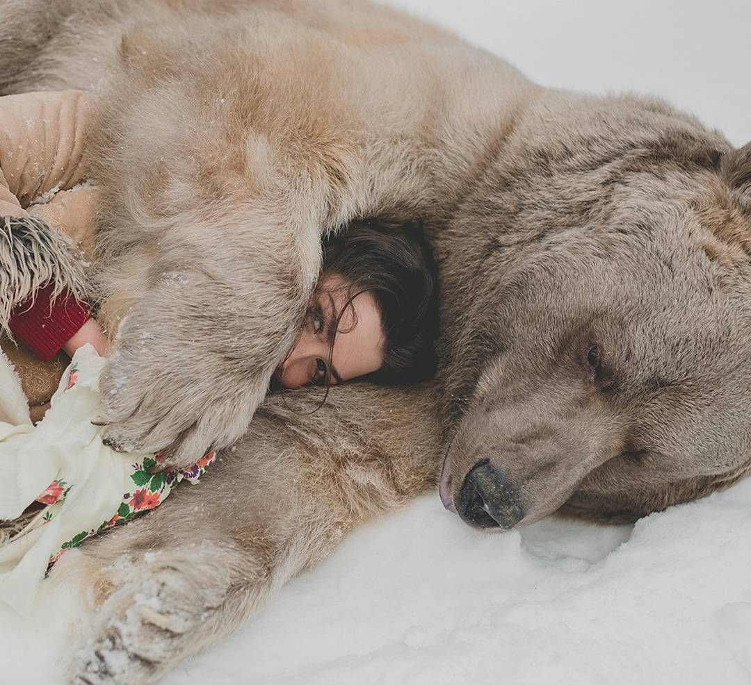 Медведи спят в обнимку