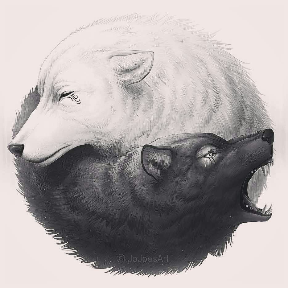 Два волка черный и белый