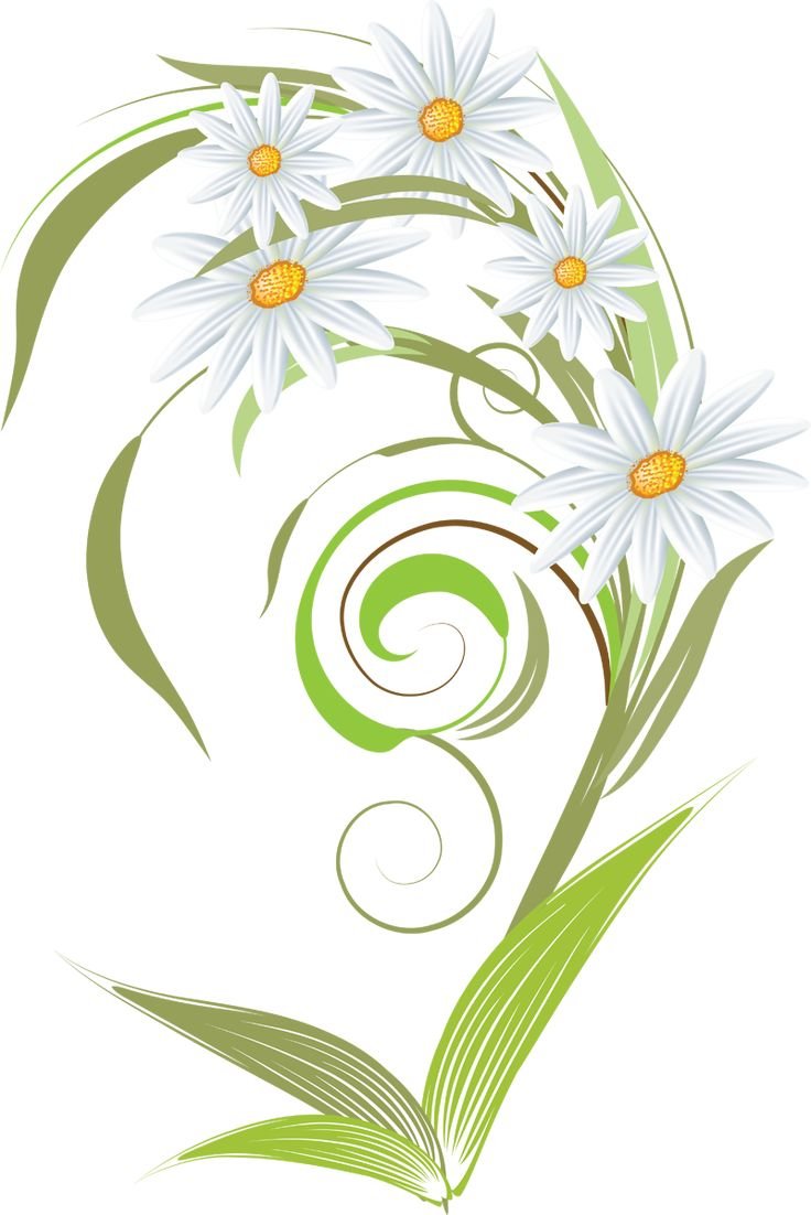 Стилизованные ромашки