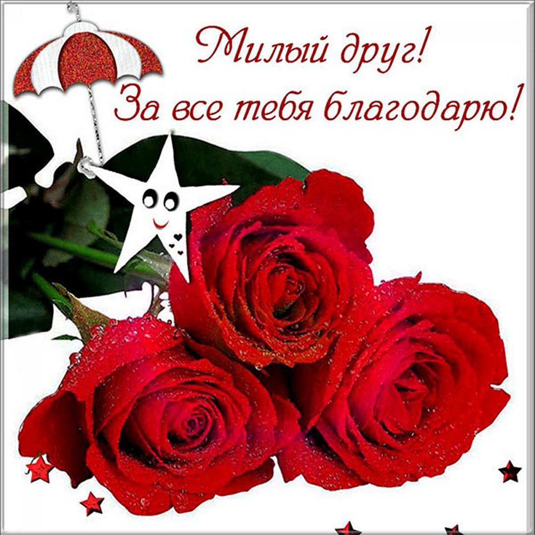 Спасибо друг