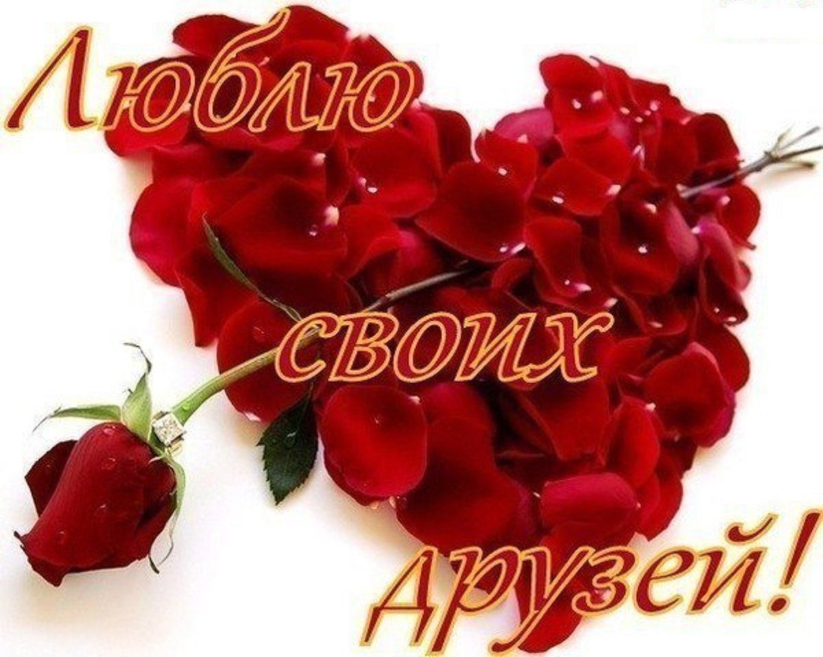 Я вас люблю Мои дорогие