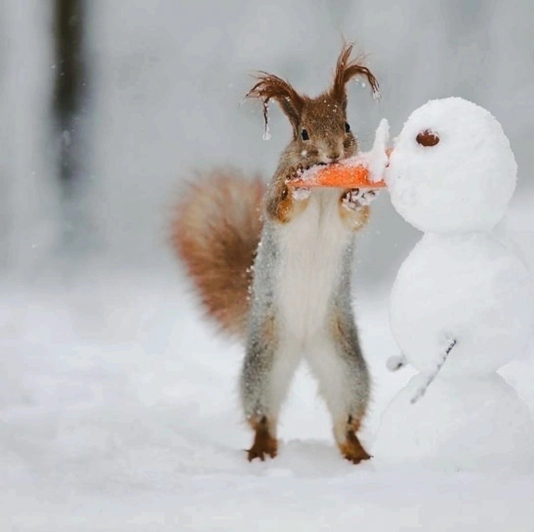 Вадим Трунов