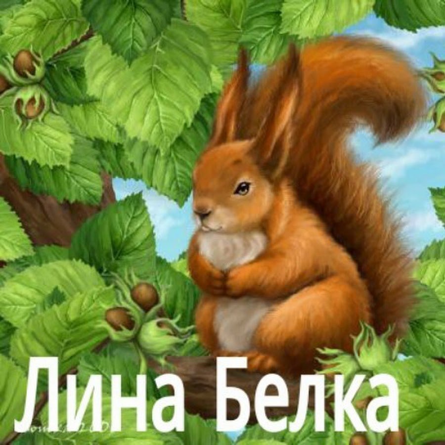 Белочка анимация