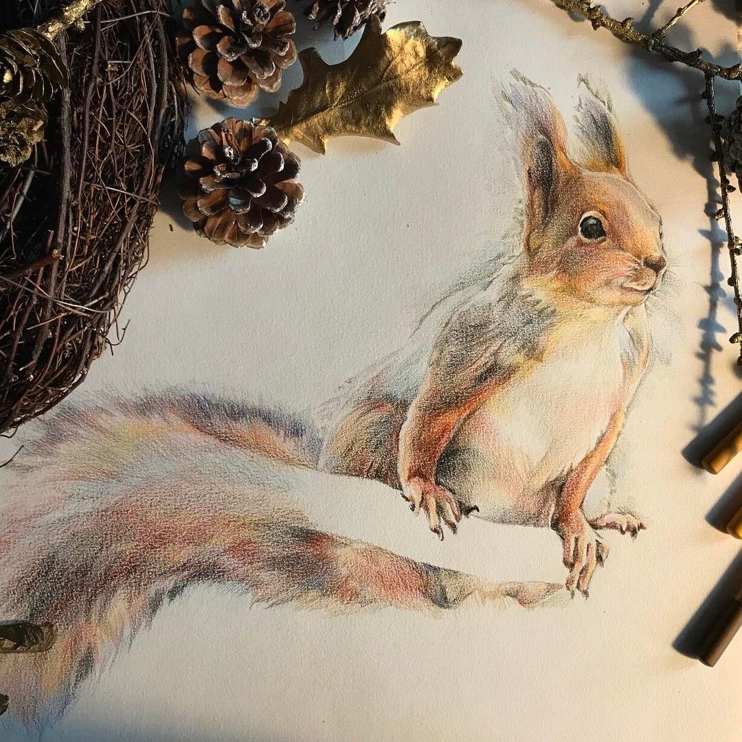 Графика белки