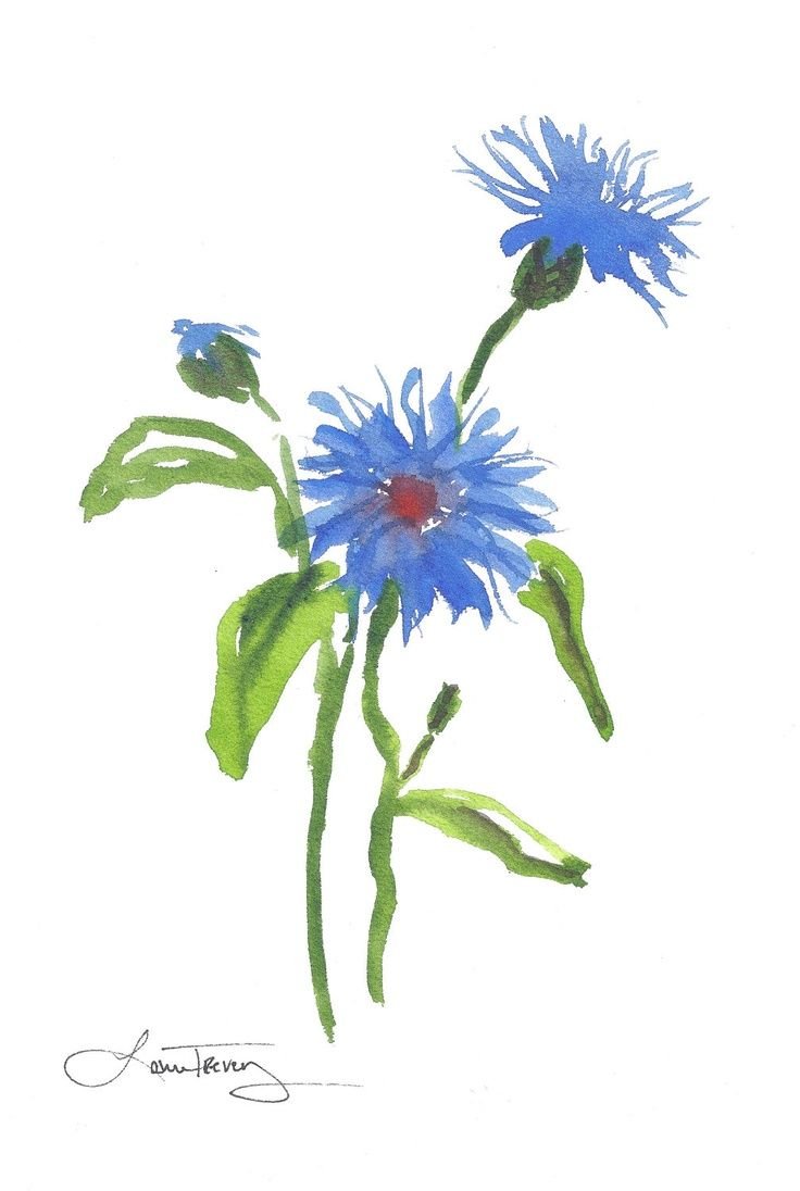 Стилизованные васильки