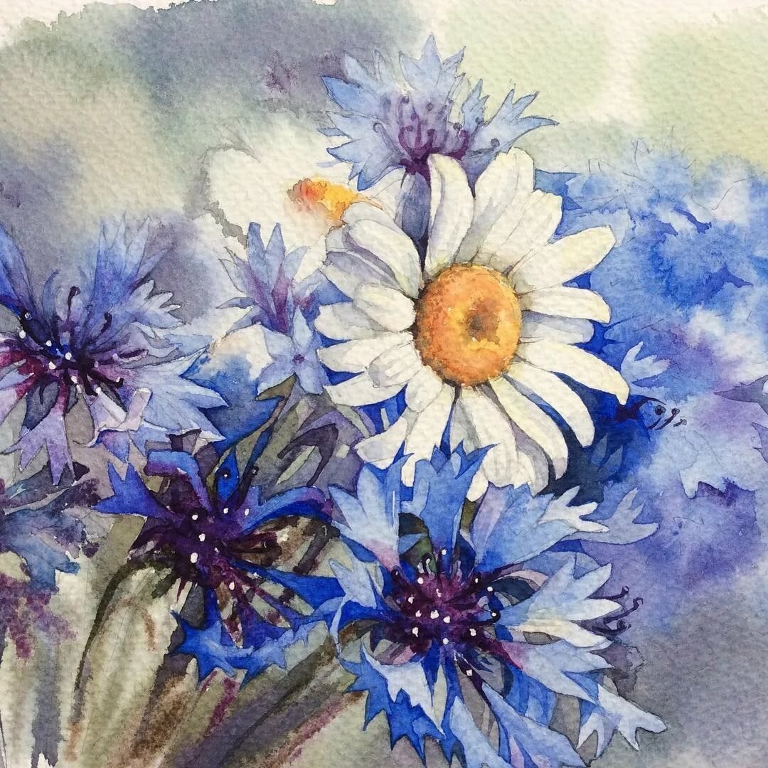 Рисунки летних цветов