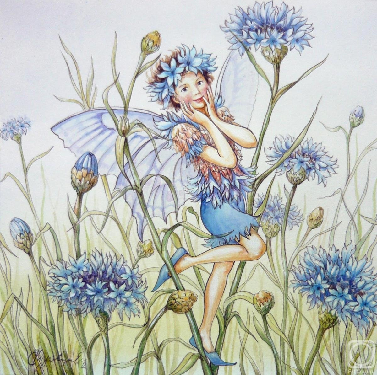 Васильки акварель вектор