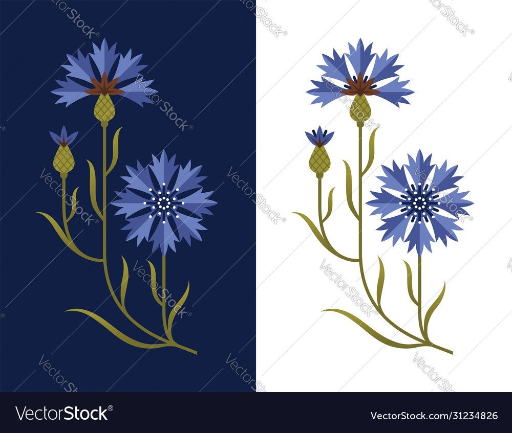 Корзина с васильками