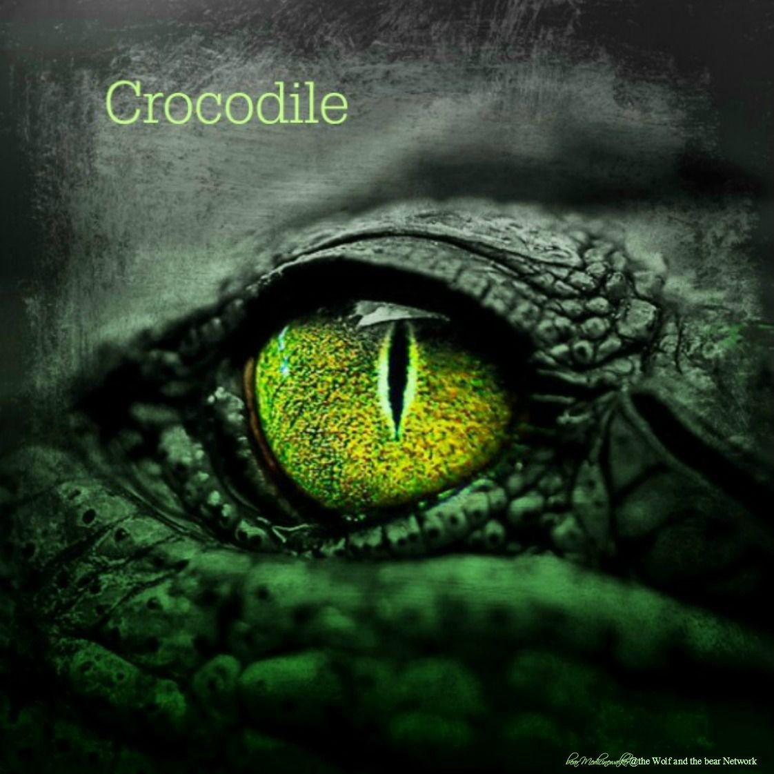 Глаз рептилии