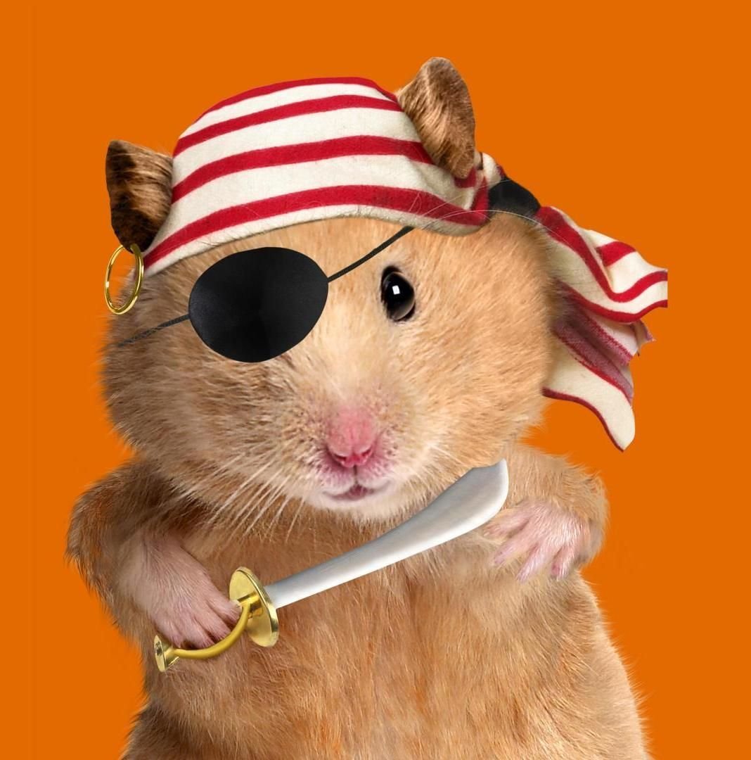 Хомяк на аву