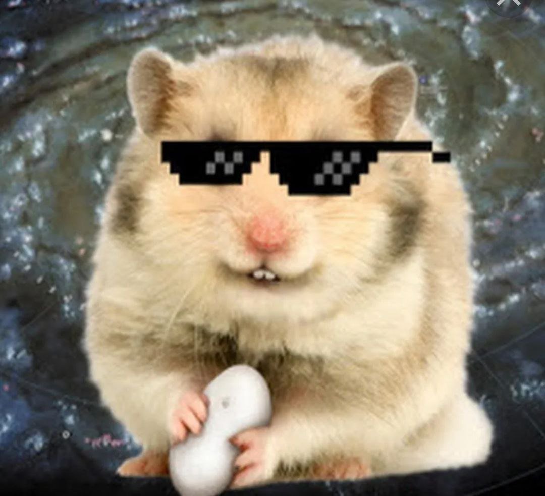 Хомяк в шапке ушанке