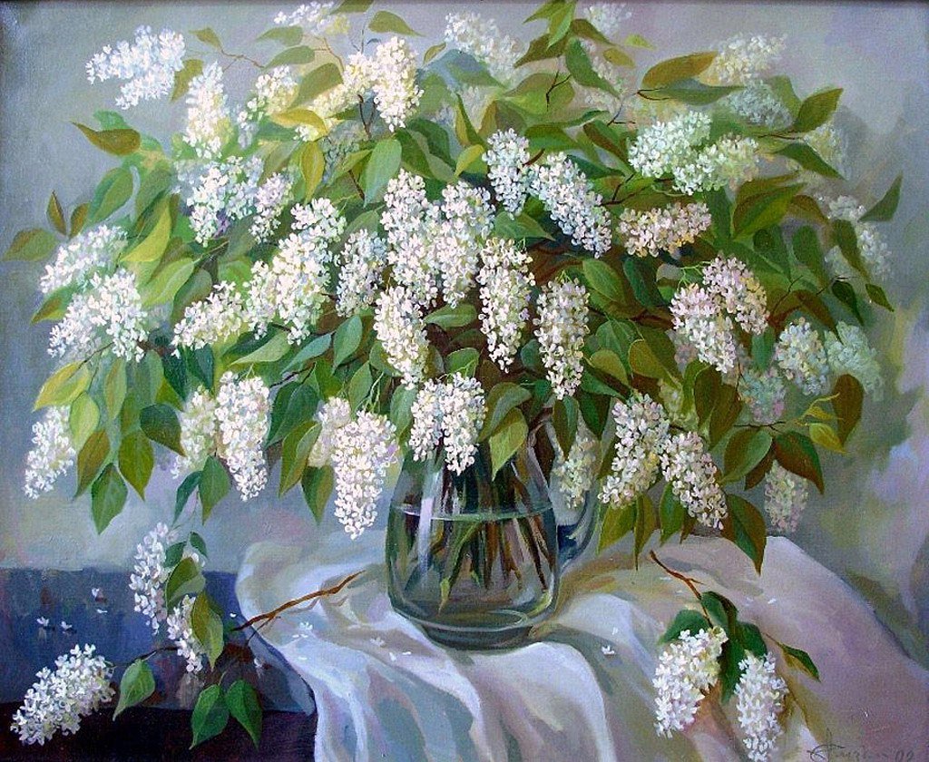 Черемуха Маака цветение