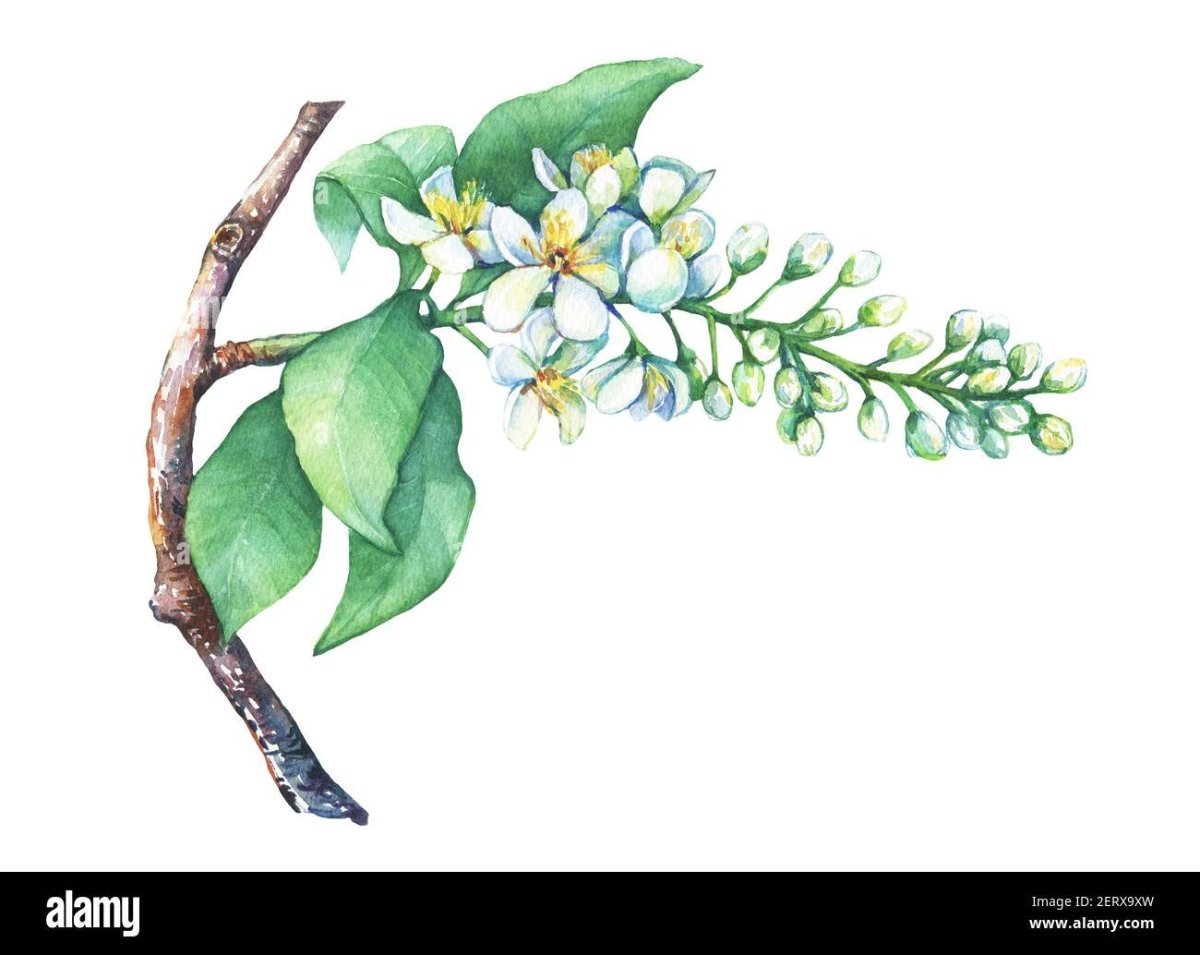 Сергей Есенин в живописи