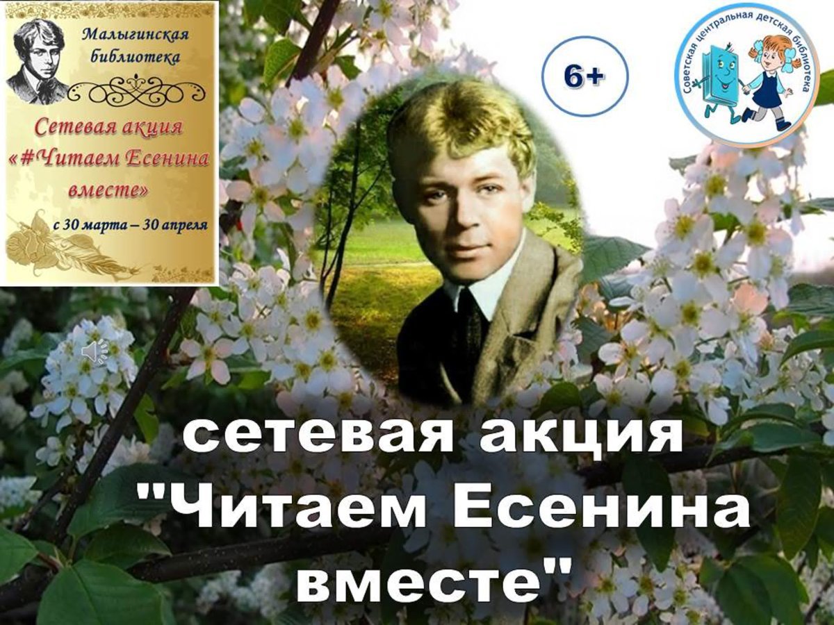 Есенин черёмуха душистая