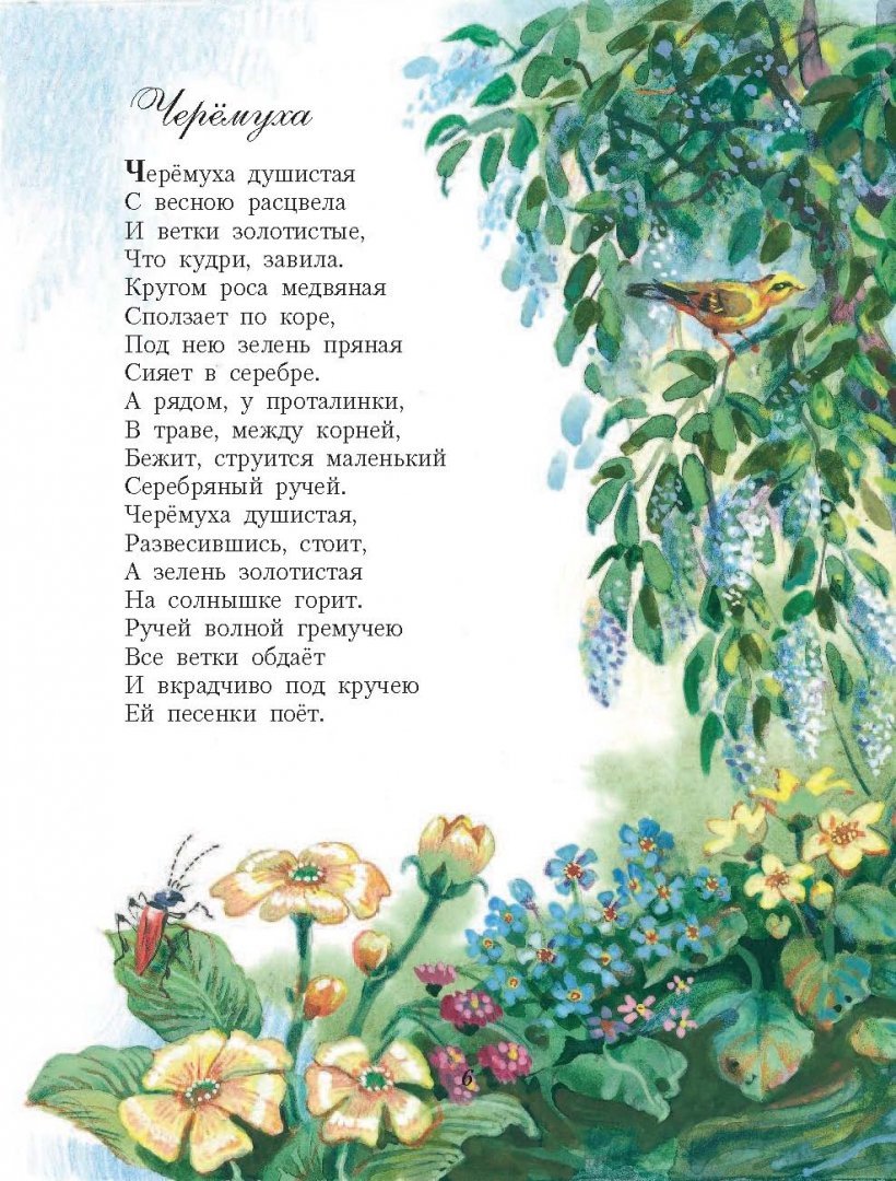 Черемуха Деверо