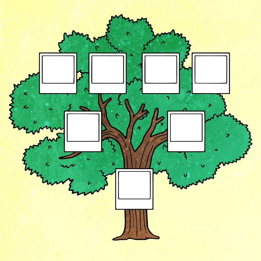 Варианты древа семьи в картинках