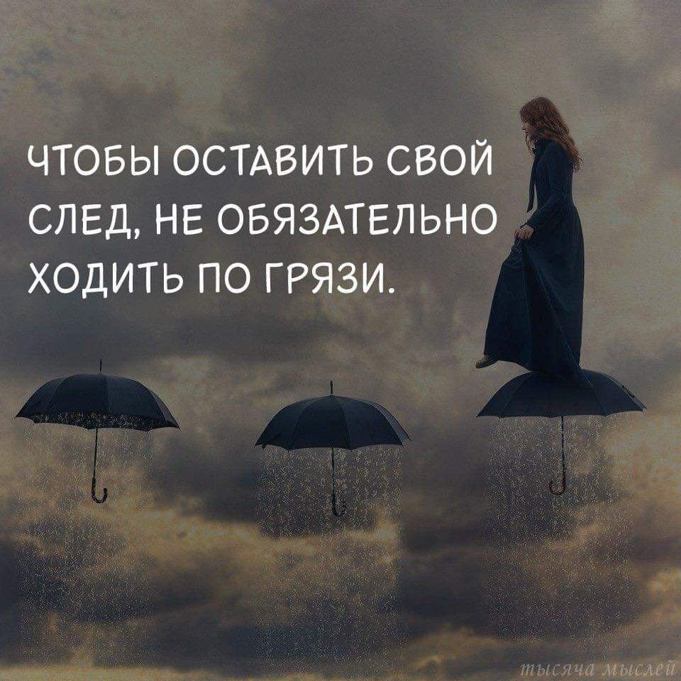 Вселенная мудрости цитаты