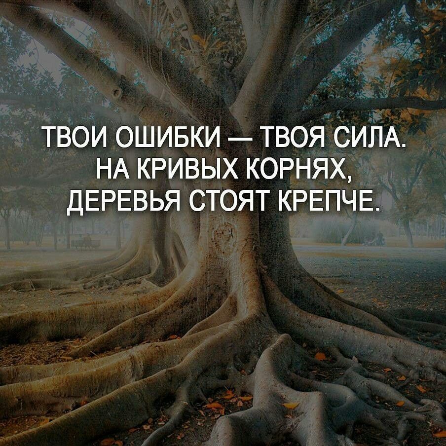 Высказывания о звездах