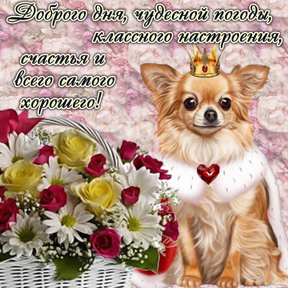 Поздравления с днём рождения подруге