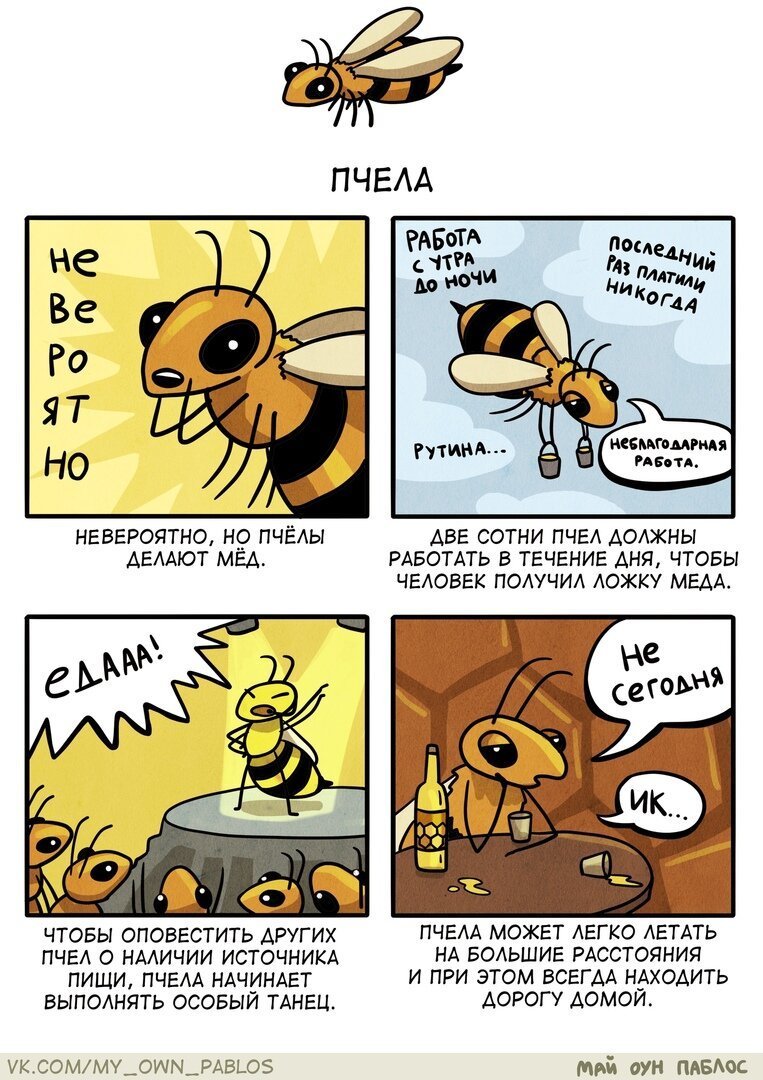 Смешная пчела