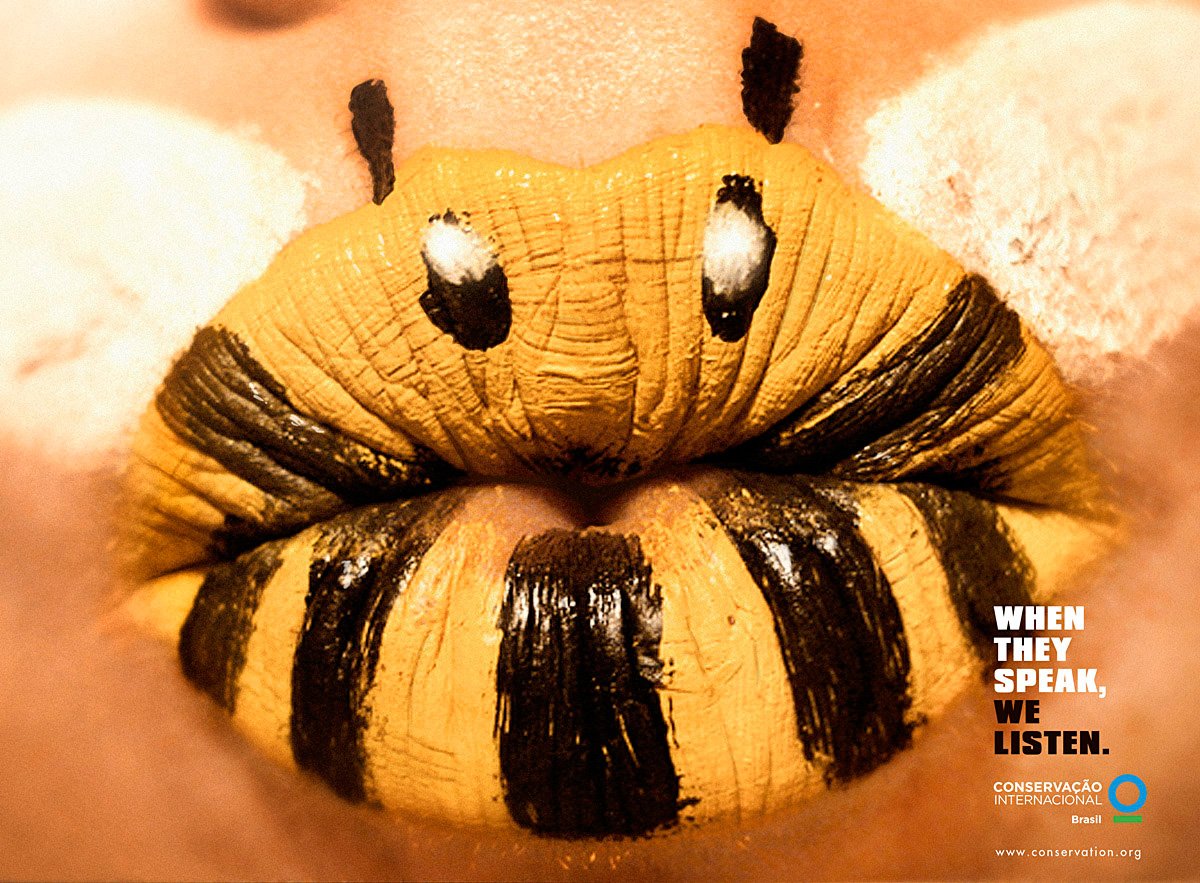 Пчела креатив