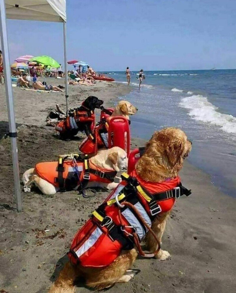 Пожарный спасает ребенка