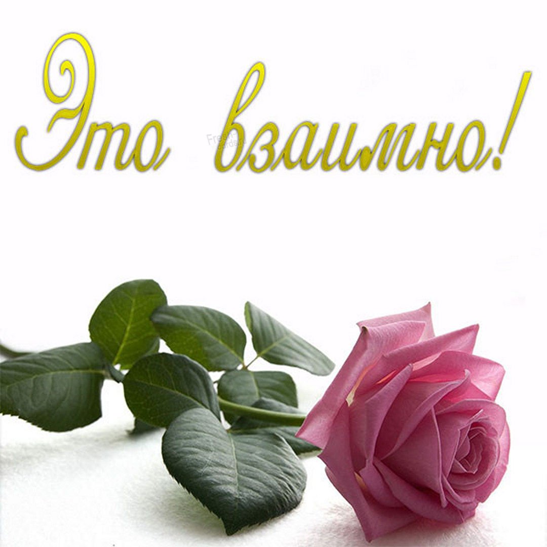 Спасибо большое взаимно