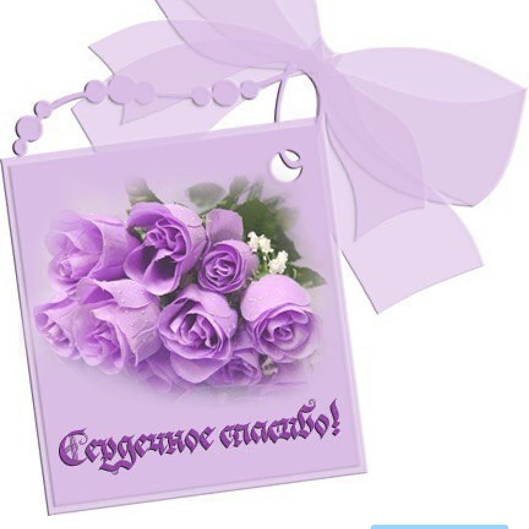 Благодарю за комментарий