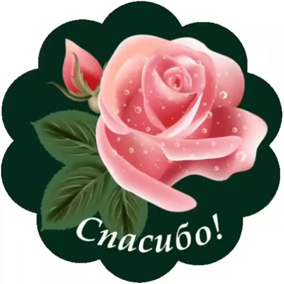 Спасибо очень приятно