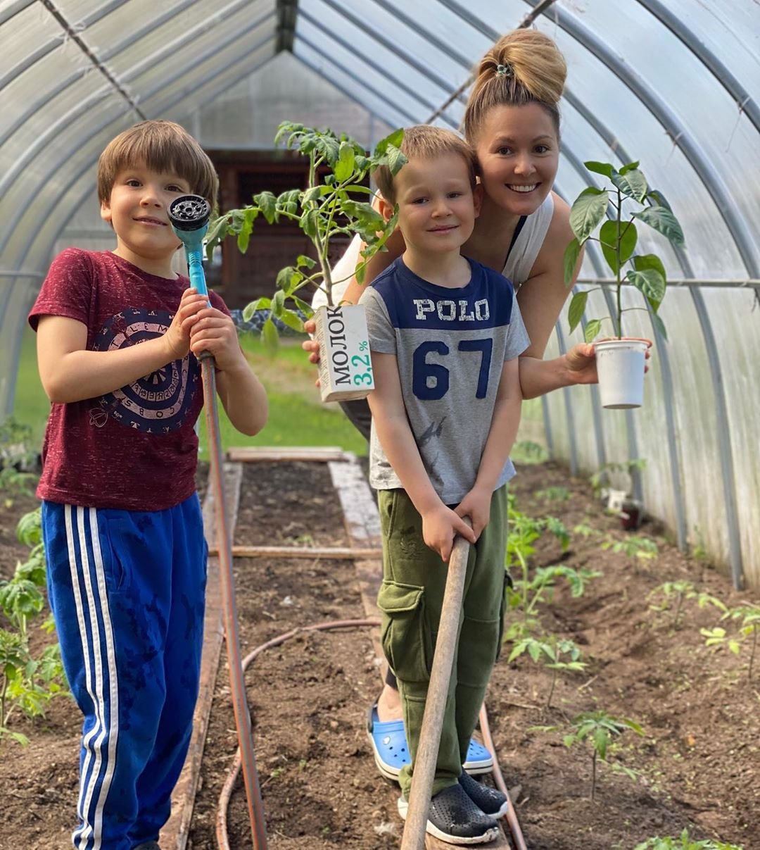 Звезды на огороде