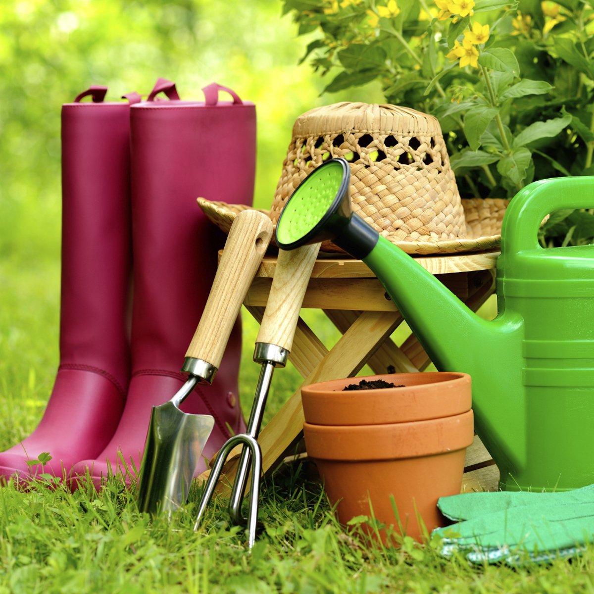 Товары для дачи и сада