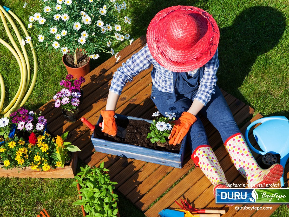 Огород с цветами