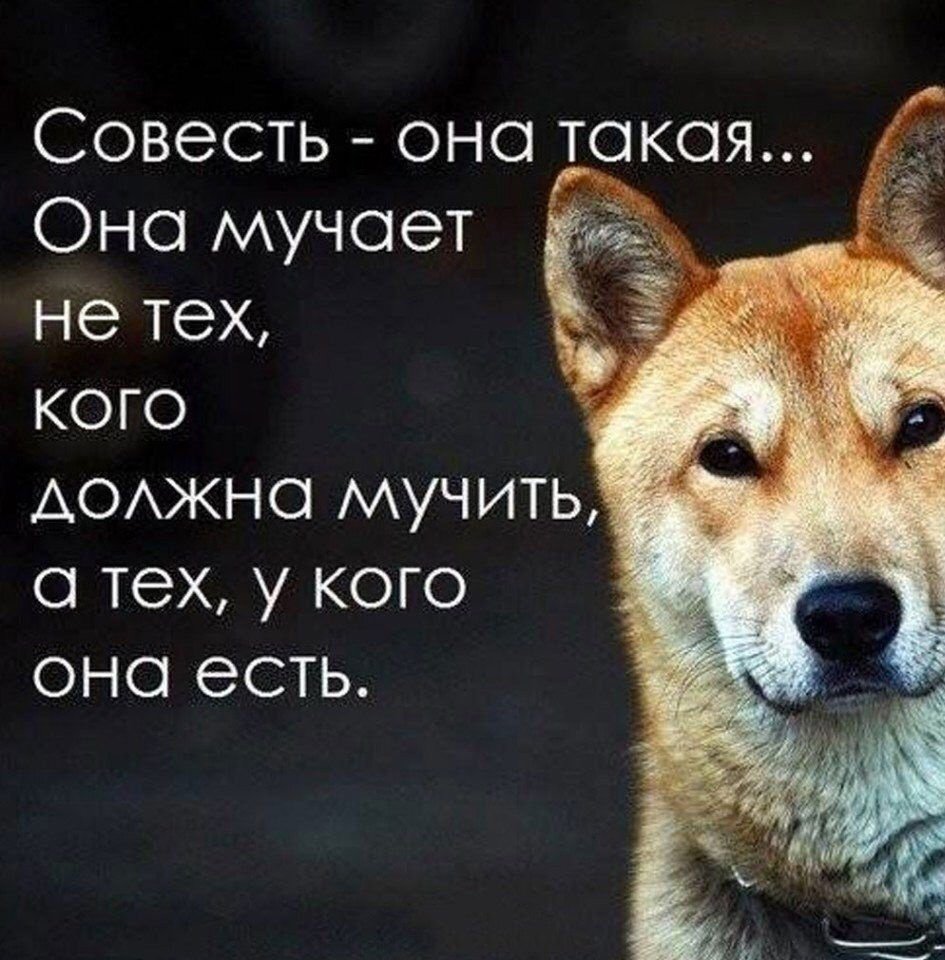 Совесть картинки