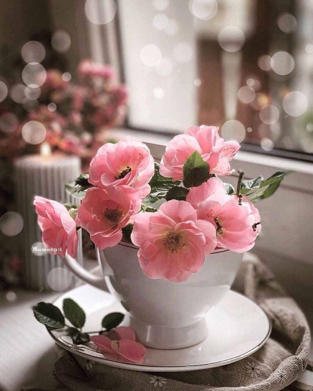 Встречаем утро в хорошем настроении