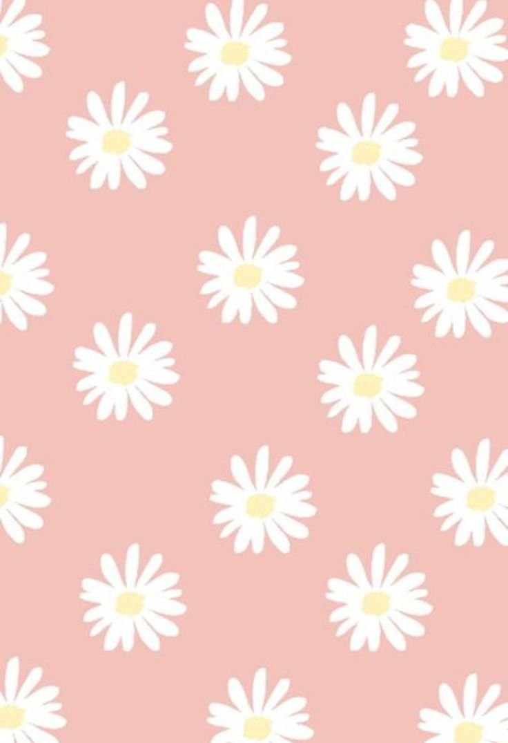 Красивый фон с ромашками