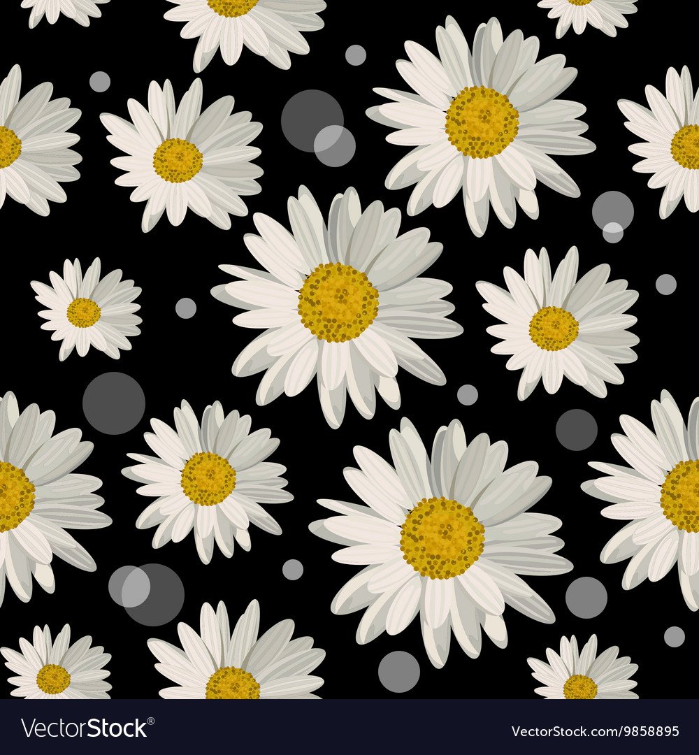 Эстетичный фон с ромашками