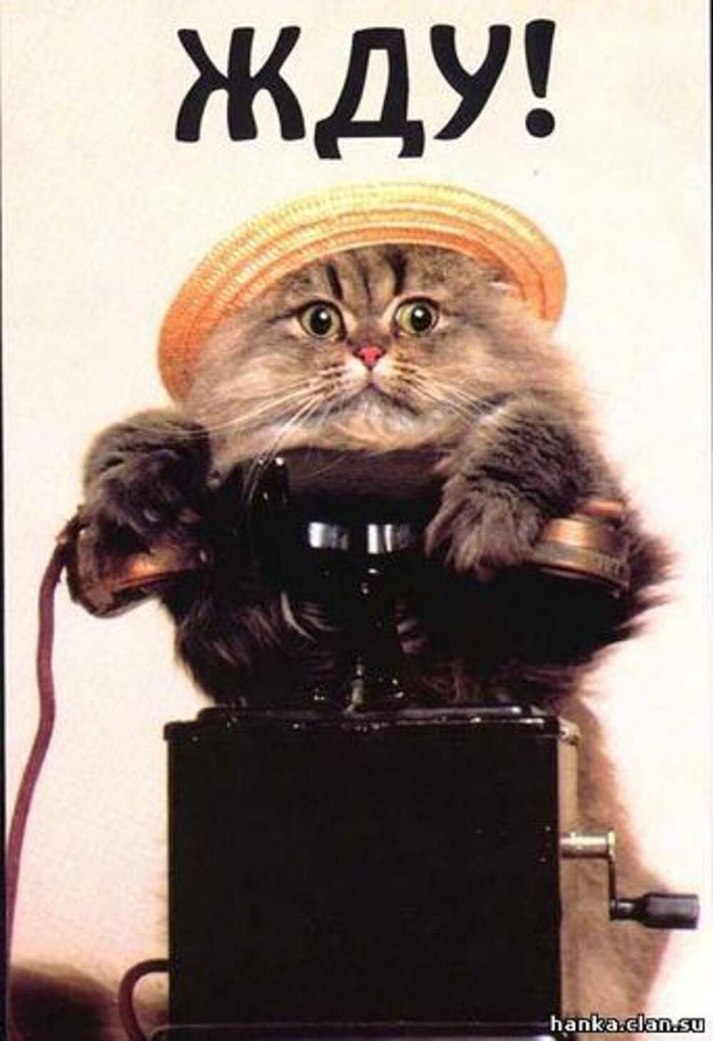 Ночной телефонный звонок