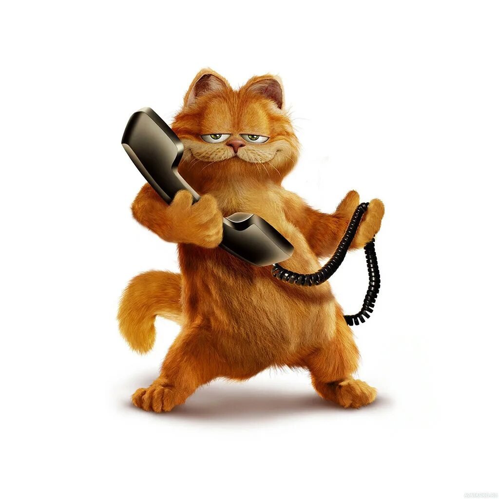 Котенок с телефоном