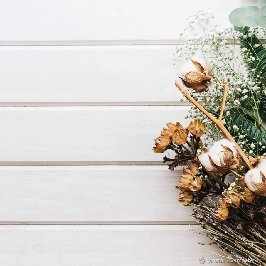 Фотофон растения