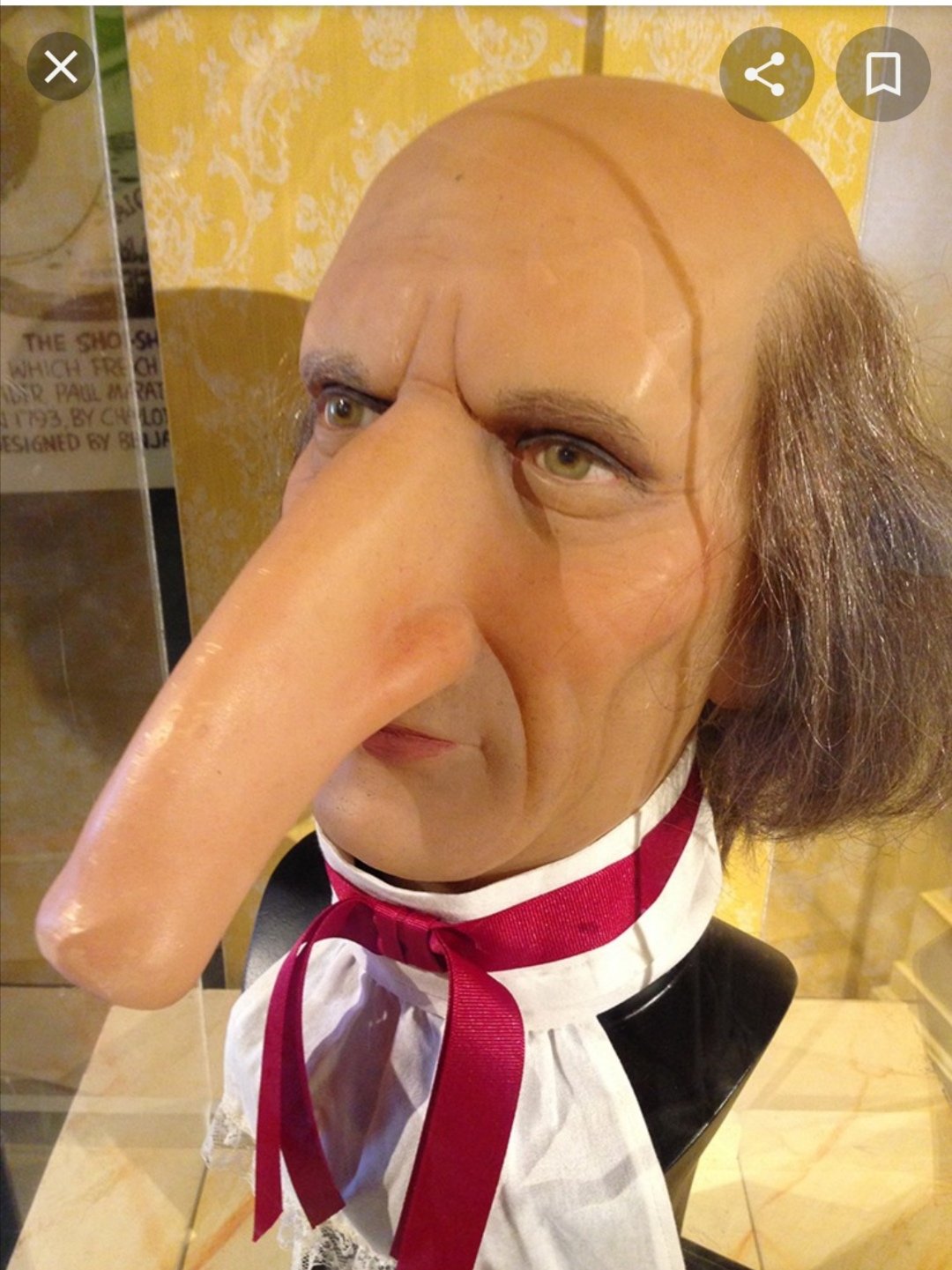 Томас уэддерс самый длинный