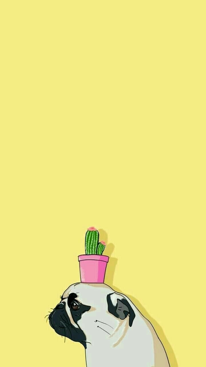 Собака Минимализм