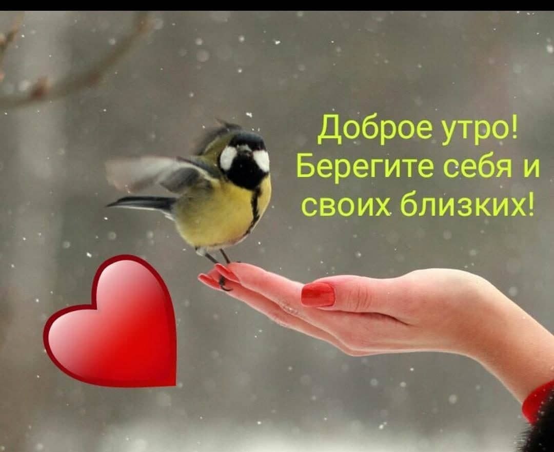 Кофе и цветы