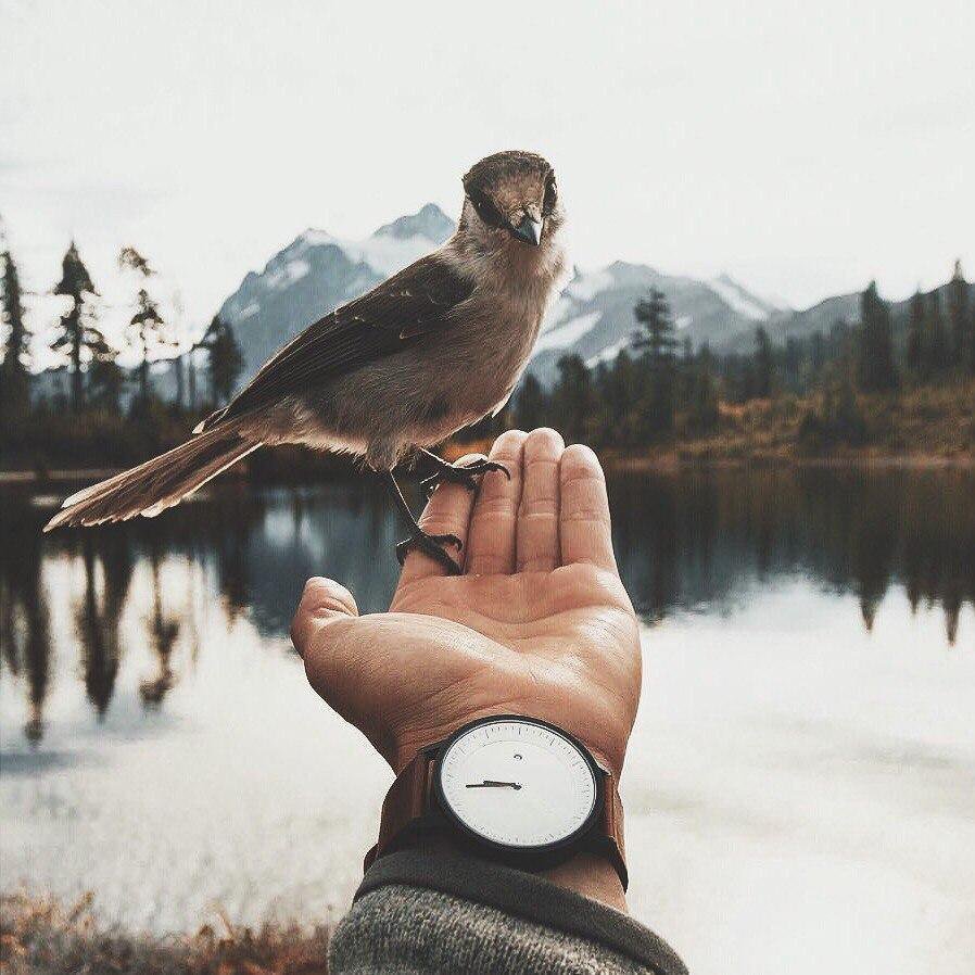 Утренний кофе композиция