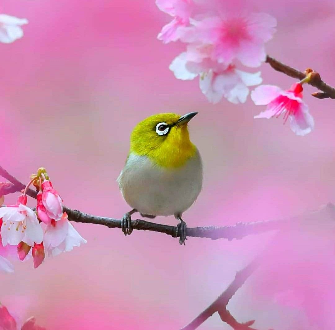 Доброе утро вторника