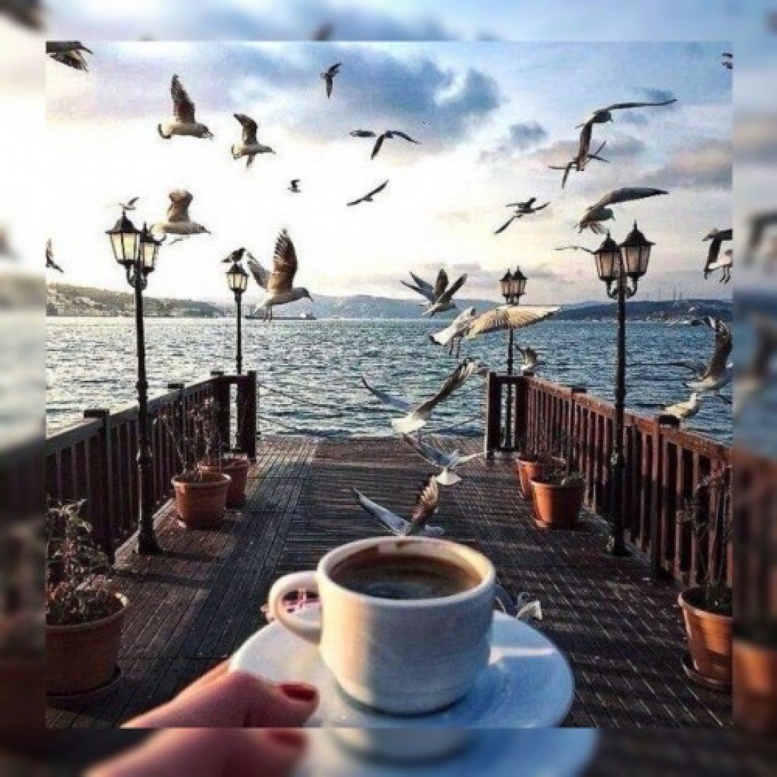 Утро кофе солнце Весна