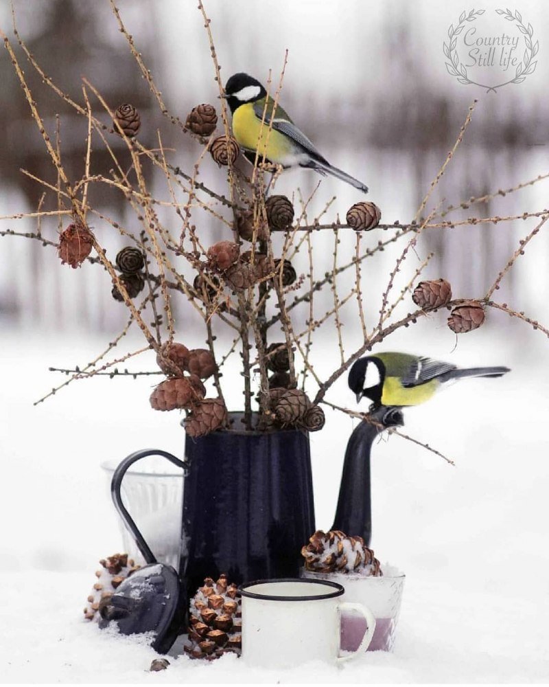 С добрым утром стильно