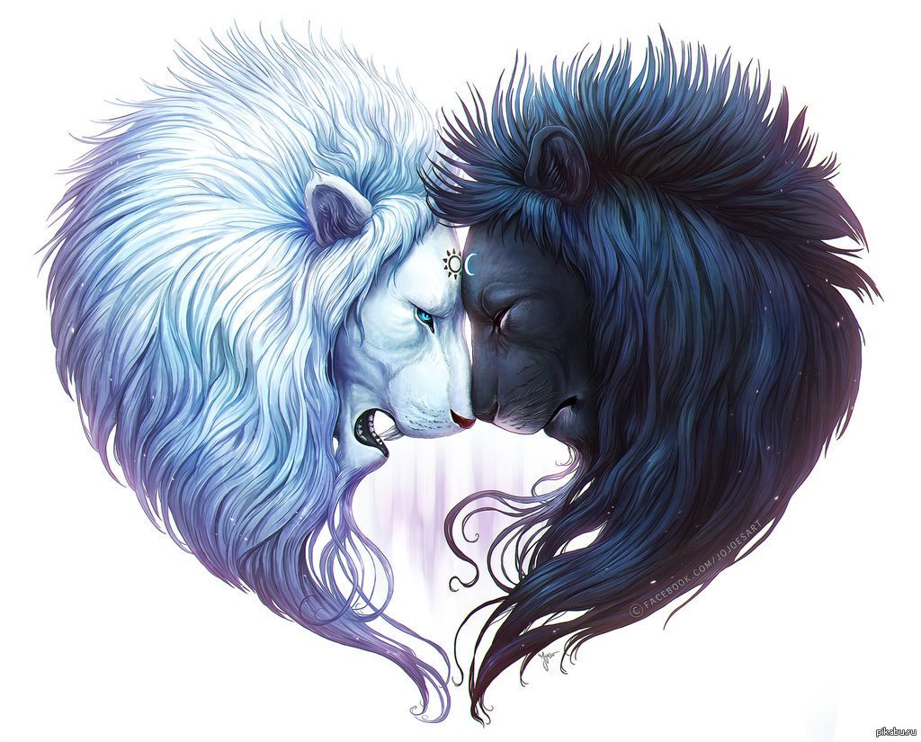 Инь Янь львы