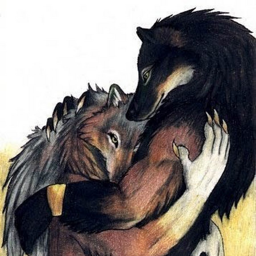 Волк обнимает лису