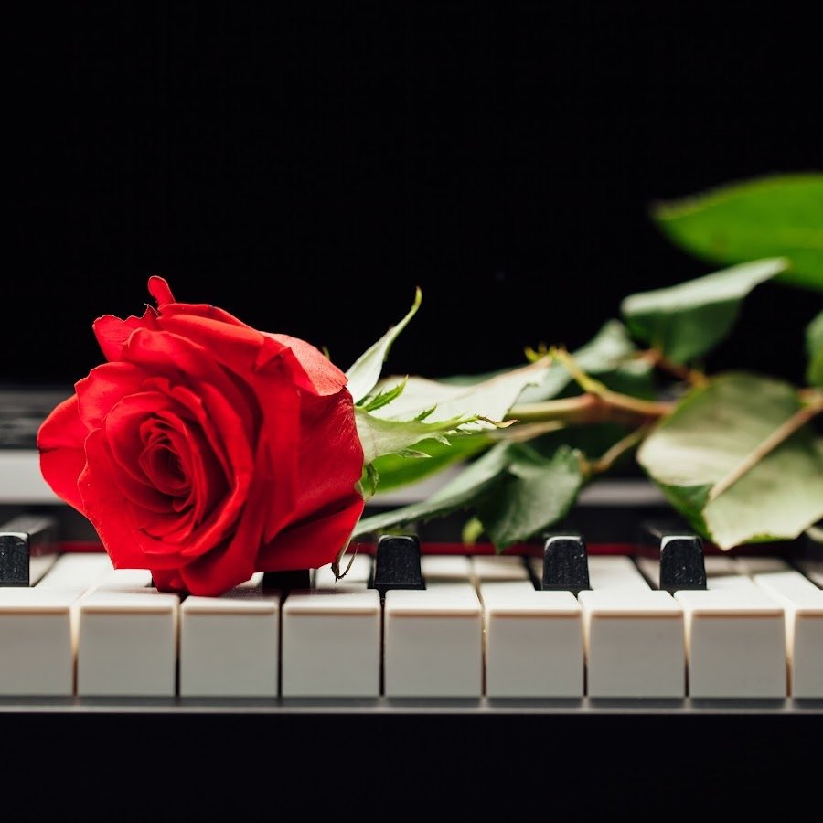 Лепестки цветов на клавишах пианино